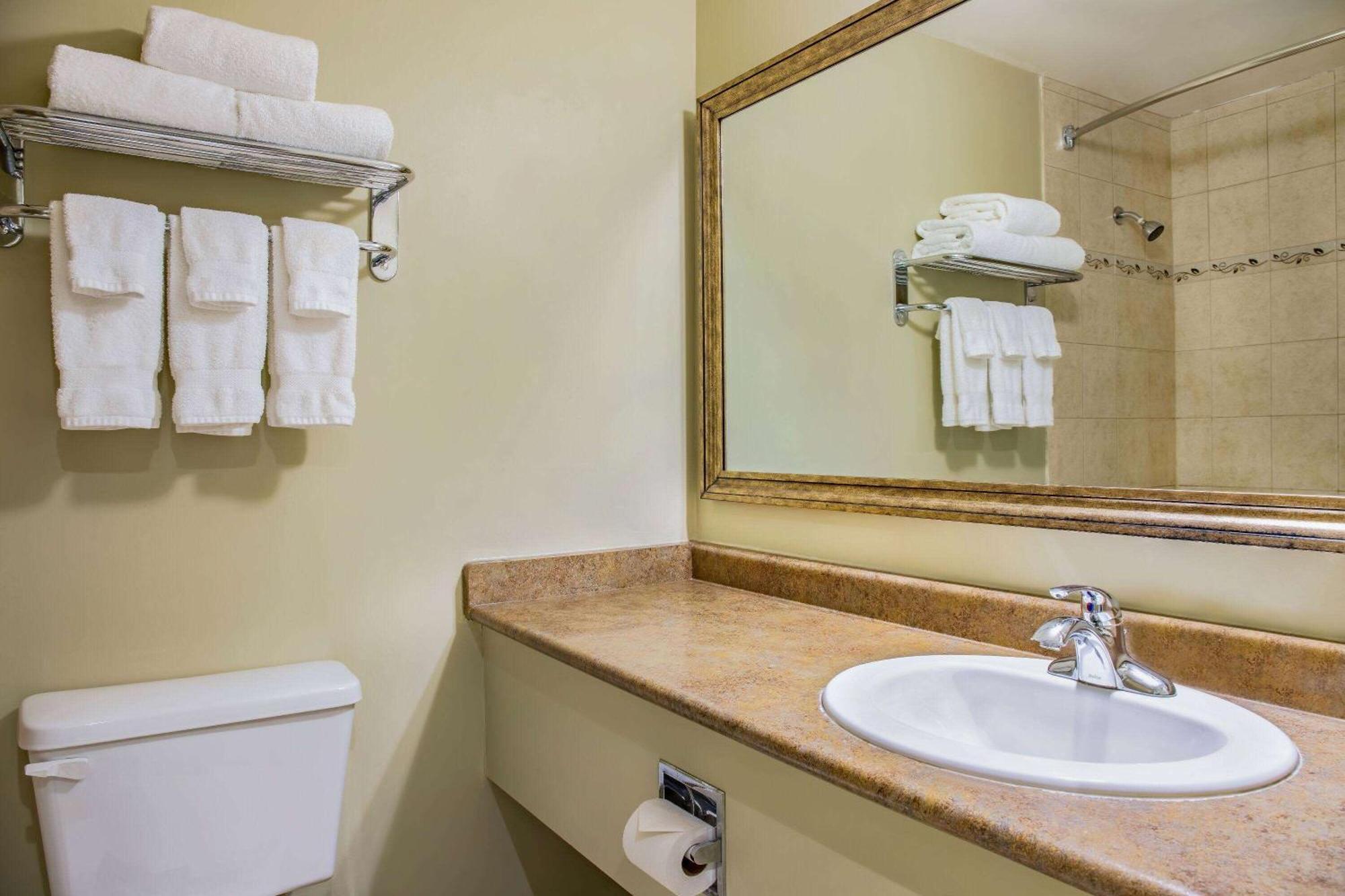 Days By Wyndham Conference Centre 3*