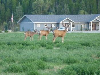 Bed & Breakfast St Marys River B&B 5*