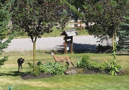 Bed & Breakfast End Of The Road Cranbrook